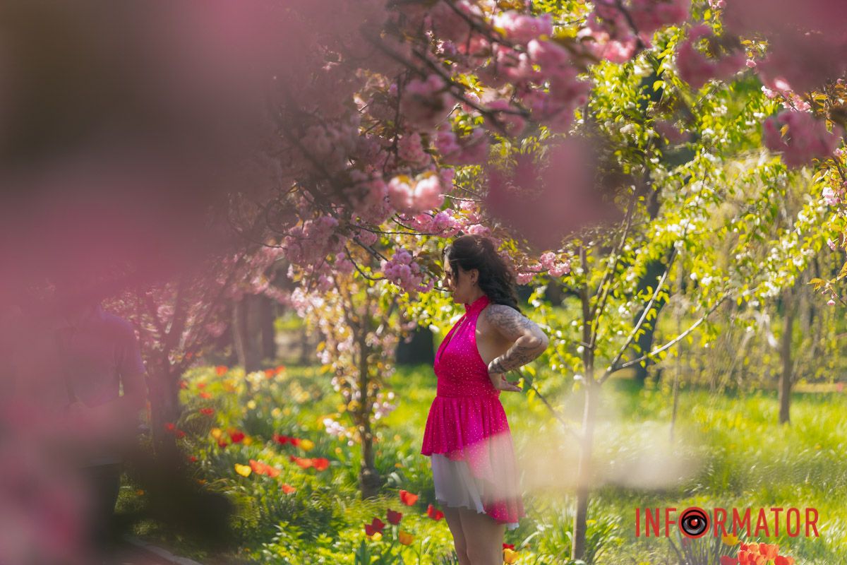 Весна в розовых красках: где в Днепре можно полюбоваться аллеей сакур 34