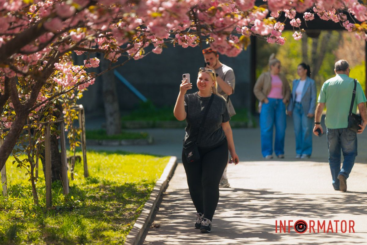 Весна в розовых красках: где в Днепре можно полюбоваться аллеей сакур 32