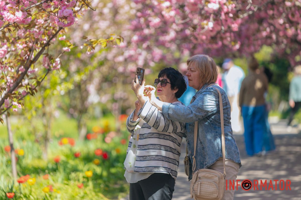 Весна в розовых красках: где в Днепре можно полюбоваться аллеей сакур 28