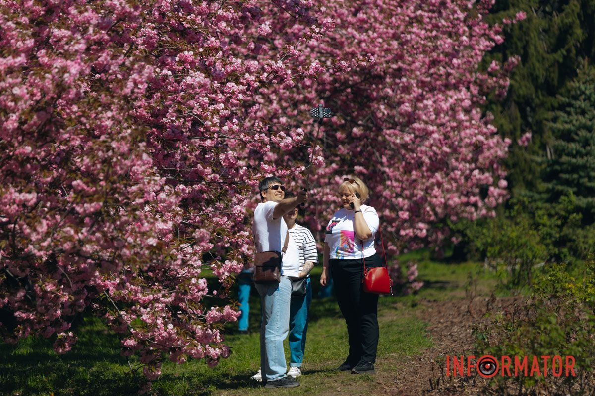 Весна в розовых красках: где в Днепре можно полюбоваться аллеей сакур 36
