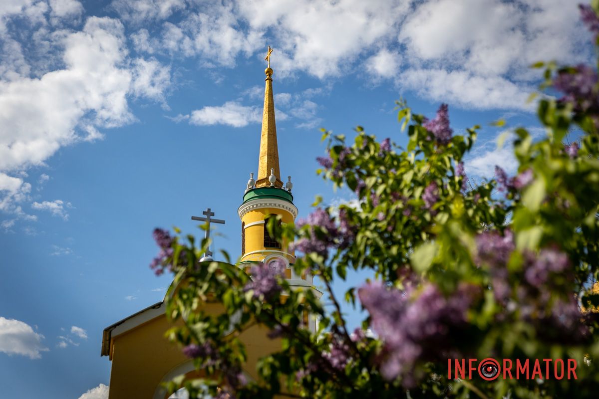 У Дніпрі зацвів бузок у сквері Івана Старова У Дніпрі зацвів бузок у сквері Івана Старова