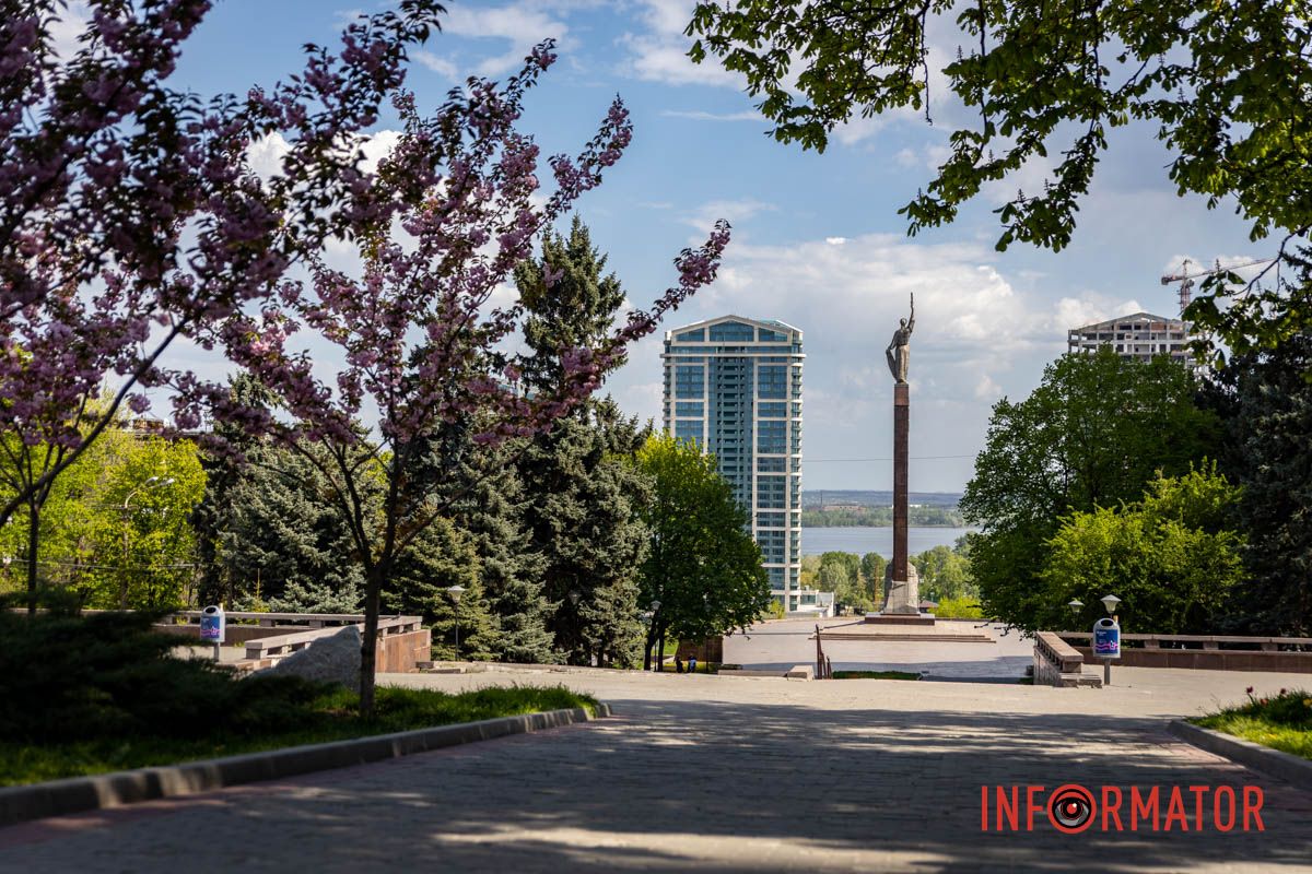 Аллея с сакурами и тюльпанами Весенняя магия в Днепре: сакуры, тюльпаны и каштаны расцвели на проспекте Яворницкого 22