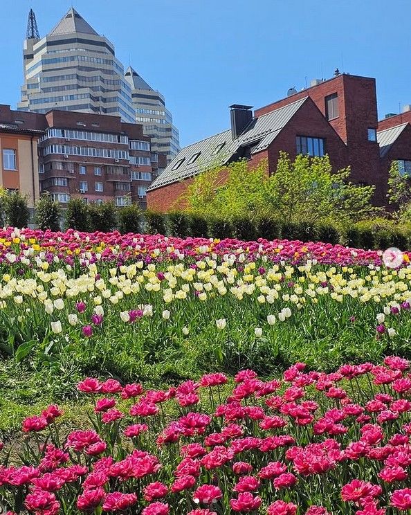 miss.taniiaa miss.taniiaa