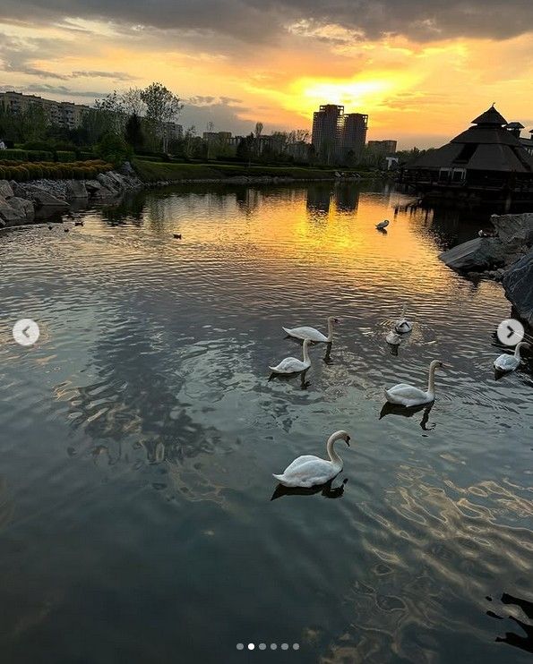 dolce_juli dolce_juli