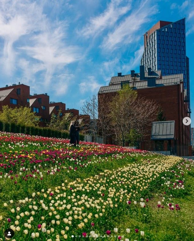 ph_deniska ph_deniska