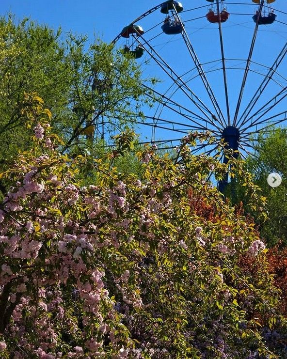 natalja198920 natalja198920