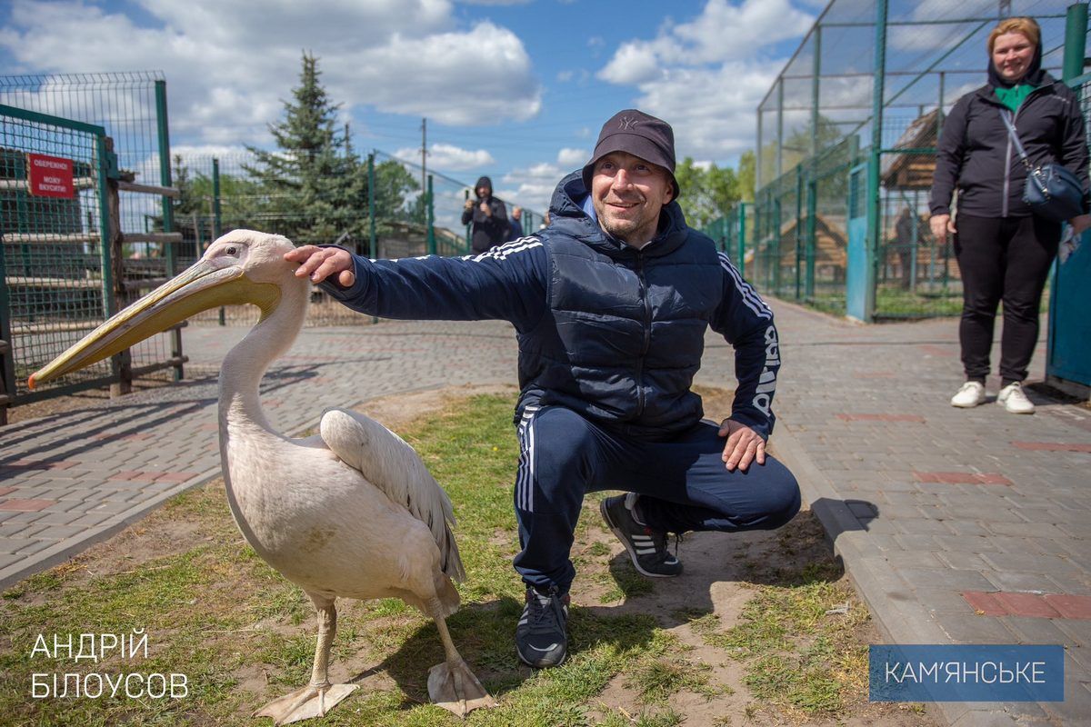 Ветерани з Дніпропетровської області відпочили на кінній фермі в Єлизаветівці 3