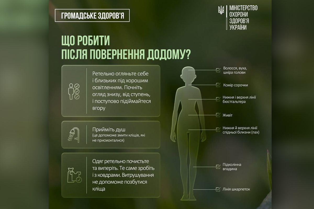 Як поводитися після прогулянки Як поводитися після прогулянки