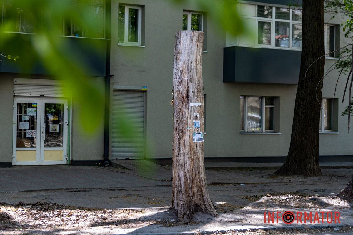 Первый этап – подготовка территории В Днепре за почти 2 миллиона гривен выкорчат более 100 пней на улице Инженерной: что там не так 3