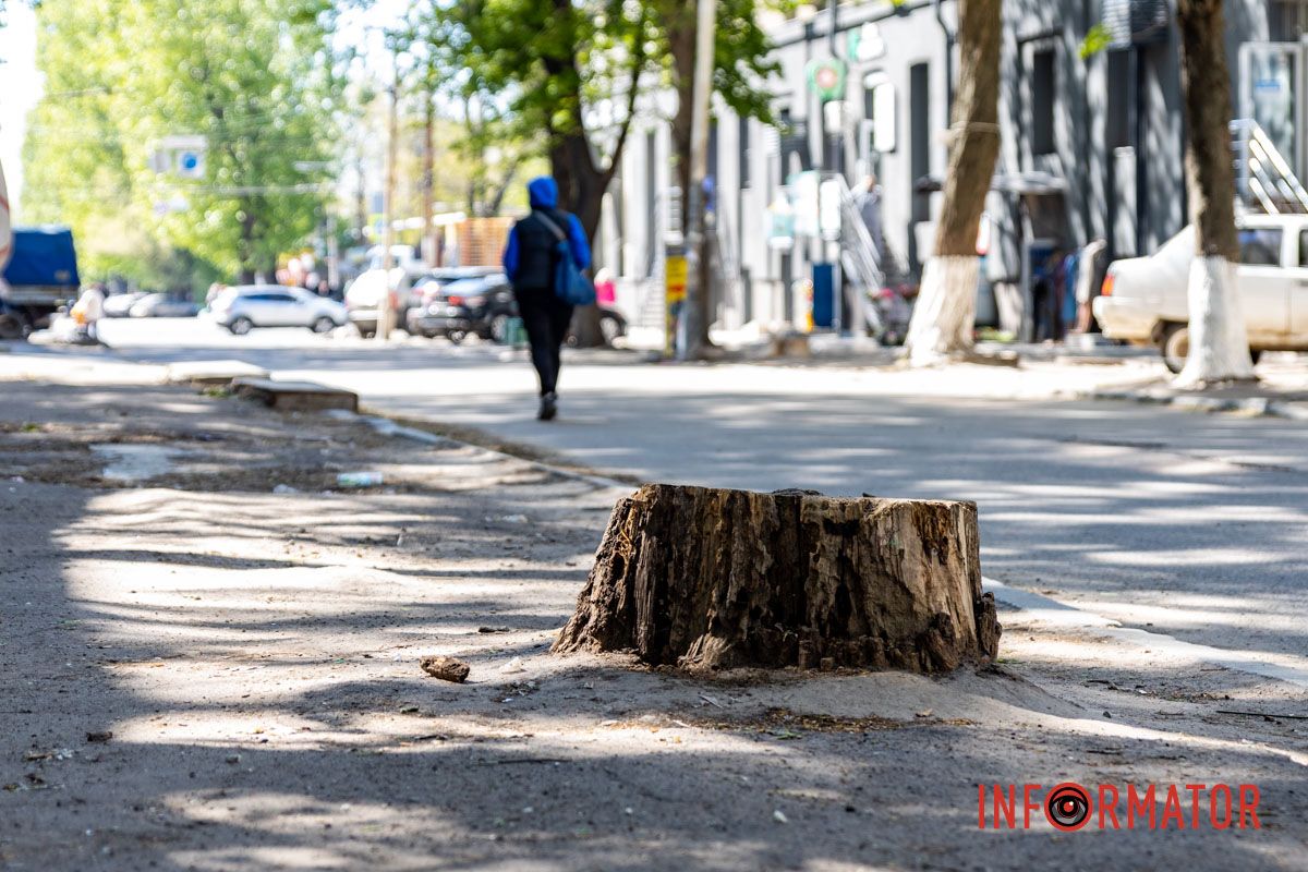 Команда Информатора решила посмотреть, как выглядит улица по состоянию на 28 апреля В Днепре за почти 2 миллиона гривен выкорчат более 100 пней на улице Инженерной: что там не так 12