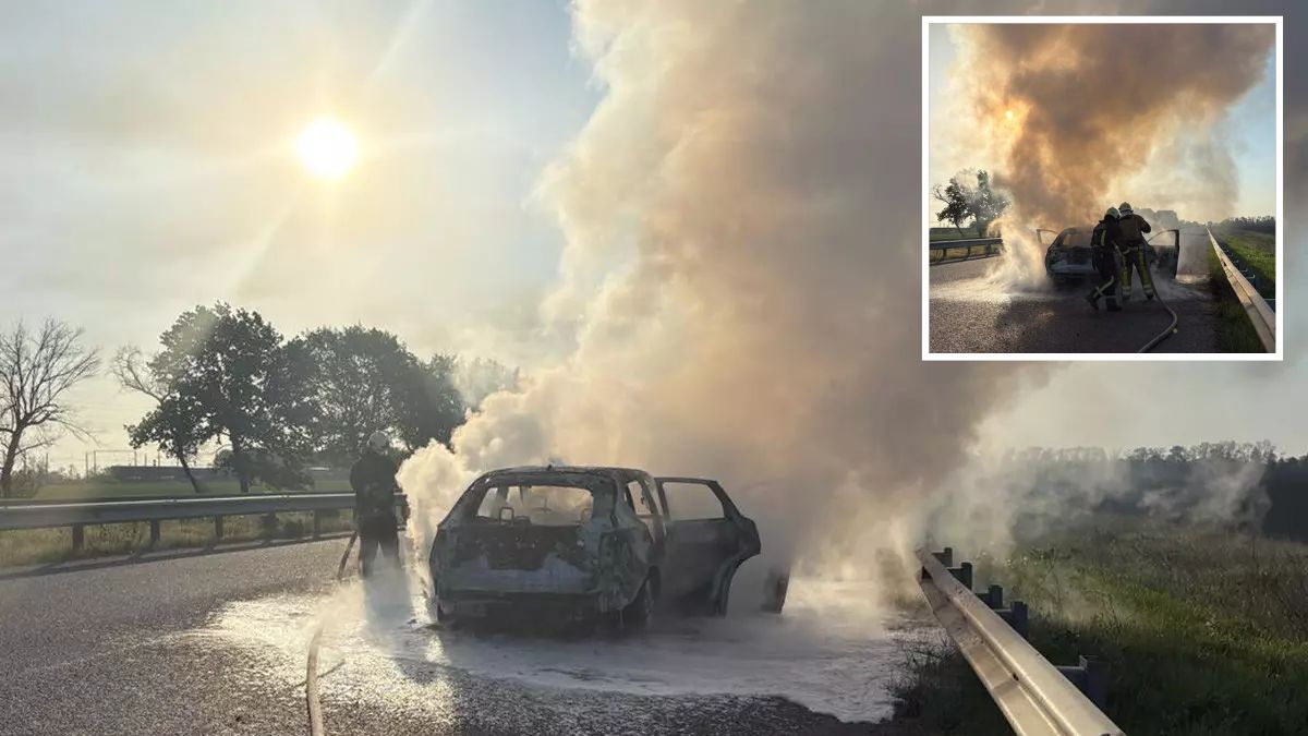 У Дніпропетровській області просто на трасі загорівся автомобіль