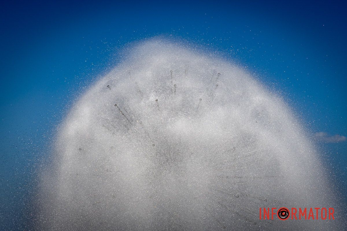 Здесь – настоящий оазис