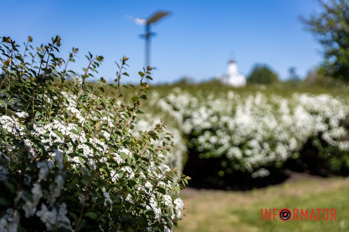 Невибаглива краса