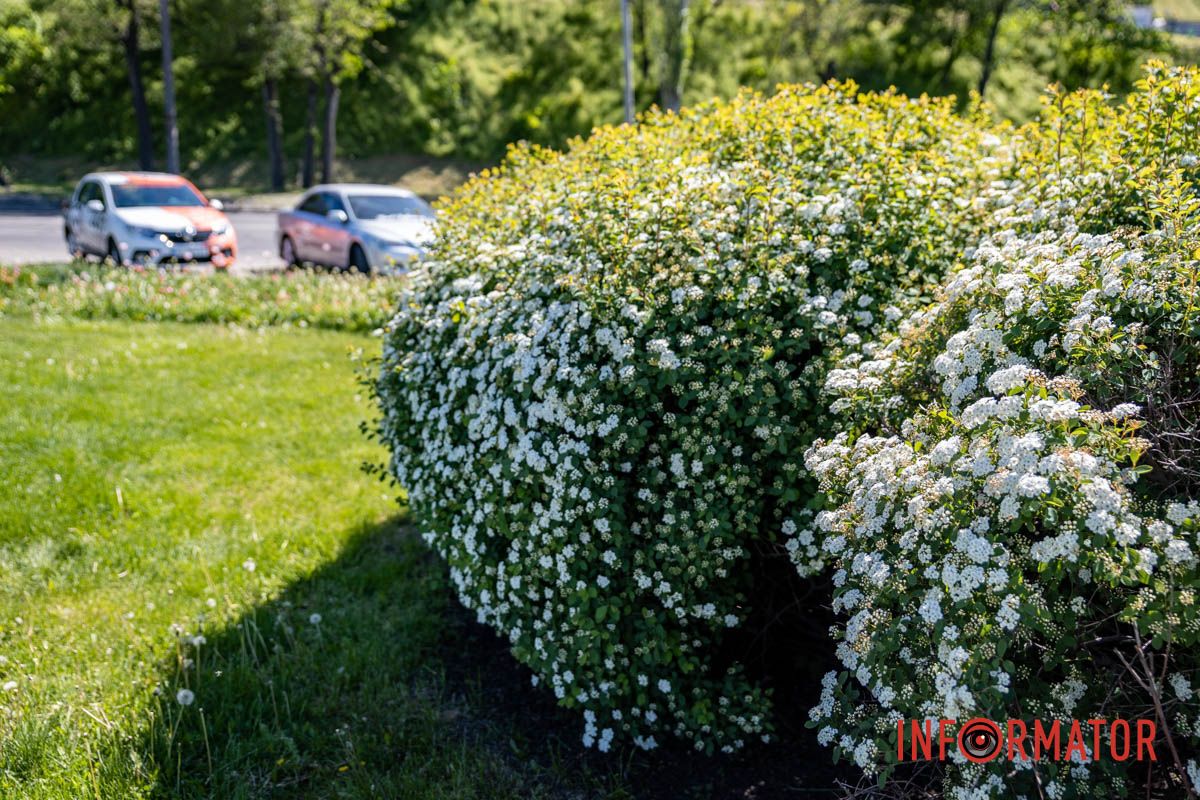 атхнення для художників і поетів