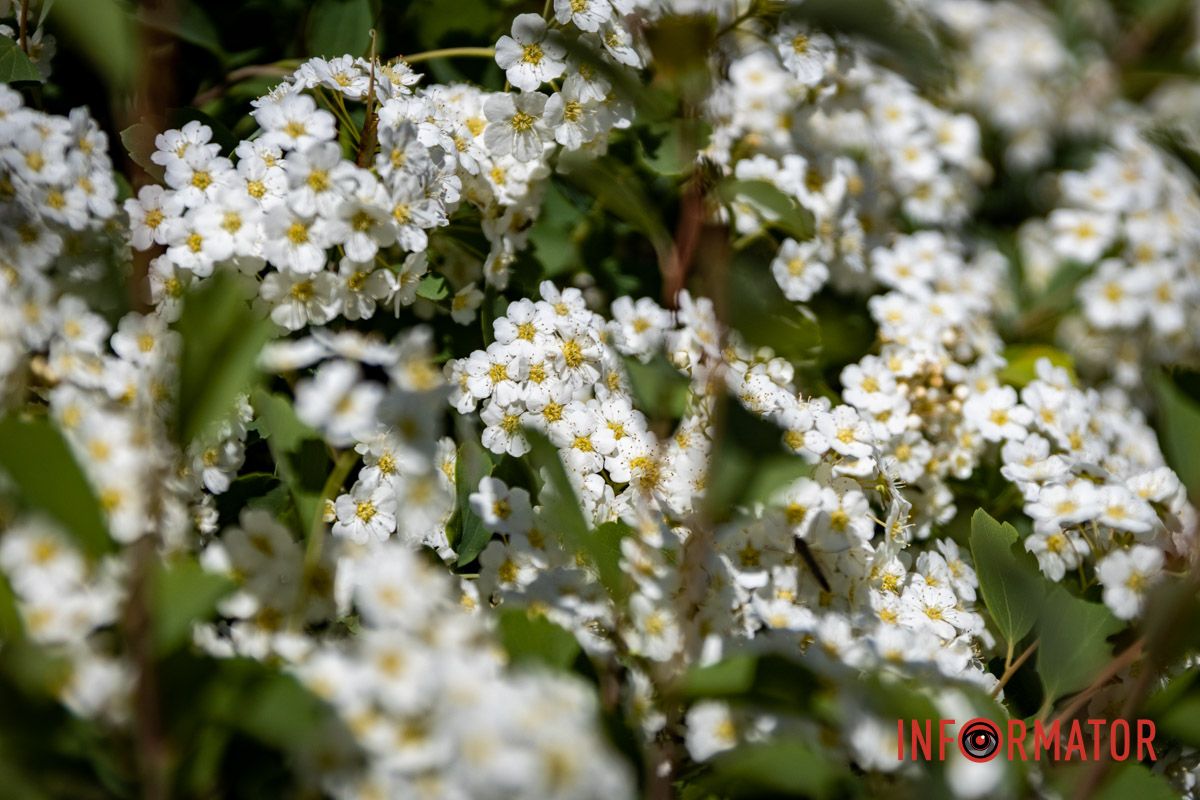 Фото на згадку обов’язкове 