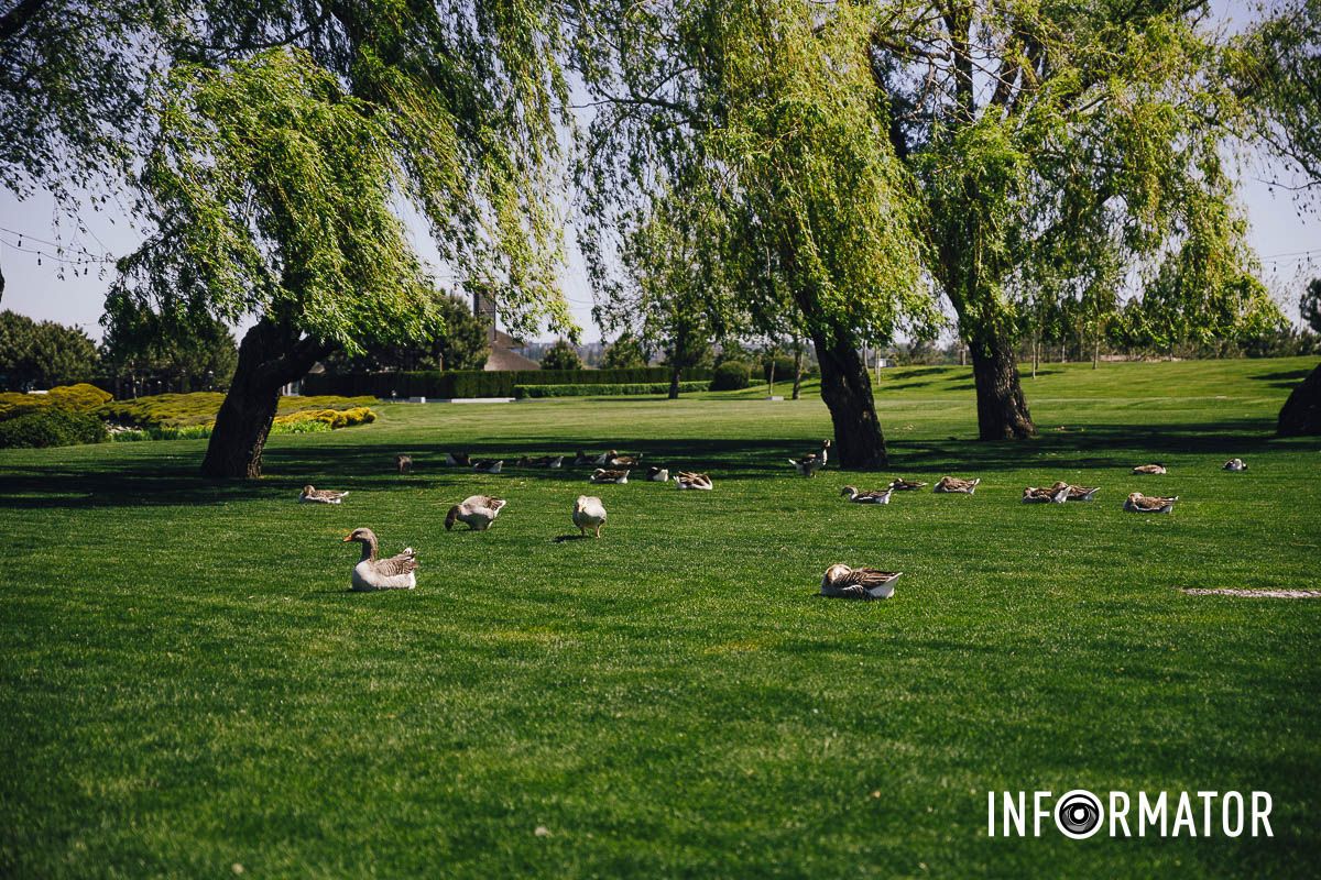 Место, где дышится иначе: как выглядит яхт-клуб «Сечь» в Днепре майского солнечного дня.