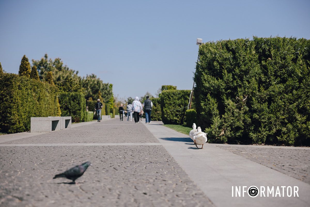 Место, где дышится иначе: как выглядит яхт-клуб «Сечь» в Днепре майского солнечного дня 9