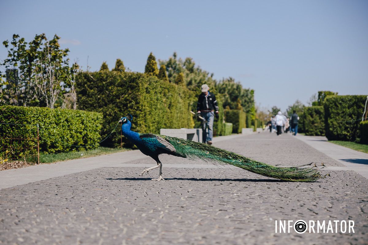 Место, где дышится иначе: как выглядит яхт-клуб «Сечь» в Днепре майского солнечного дня 10