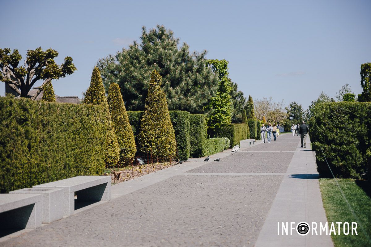 Место, где дышится иначе: как выглядит яхт-клуб «Сечь» в Днепре майского солнечного дня 12