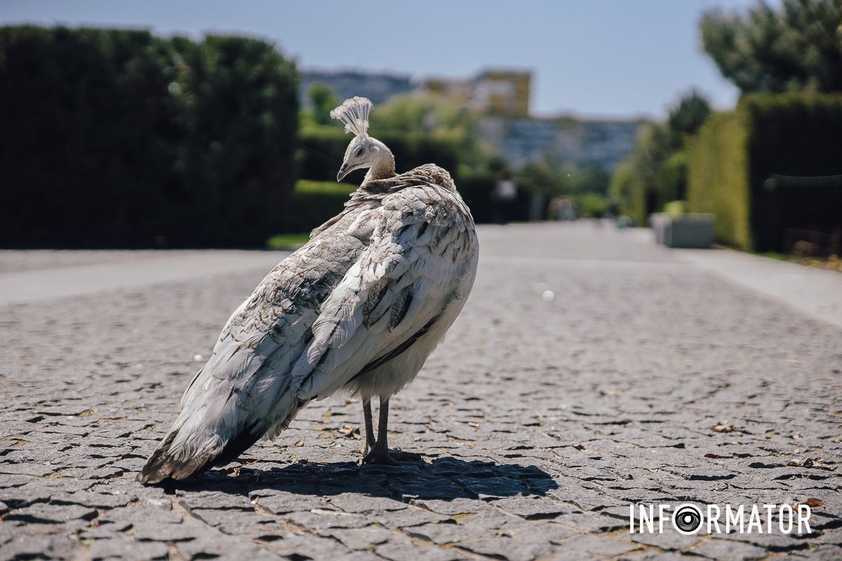 Место, где дышится иначе: как выглядит яхт-клуб «Сечь» в Днепре майского солнечного дня 19