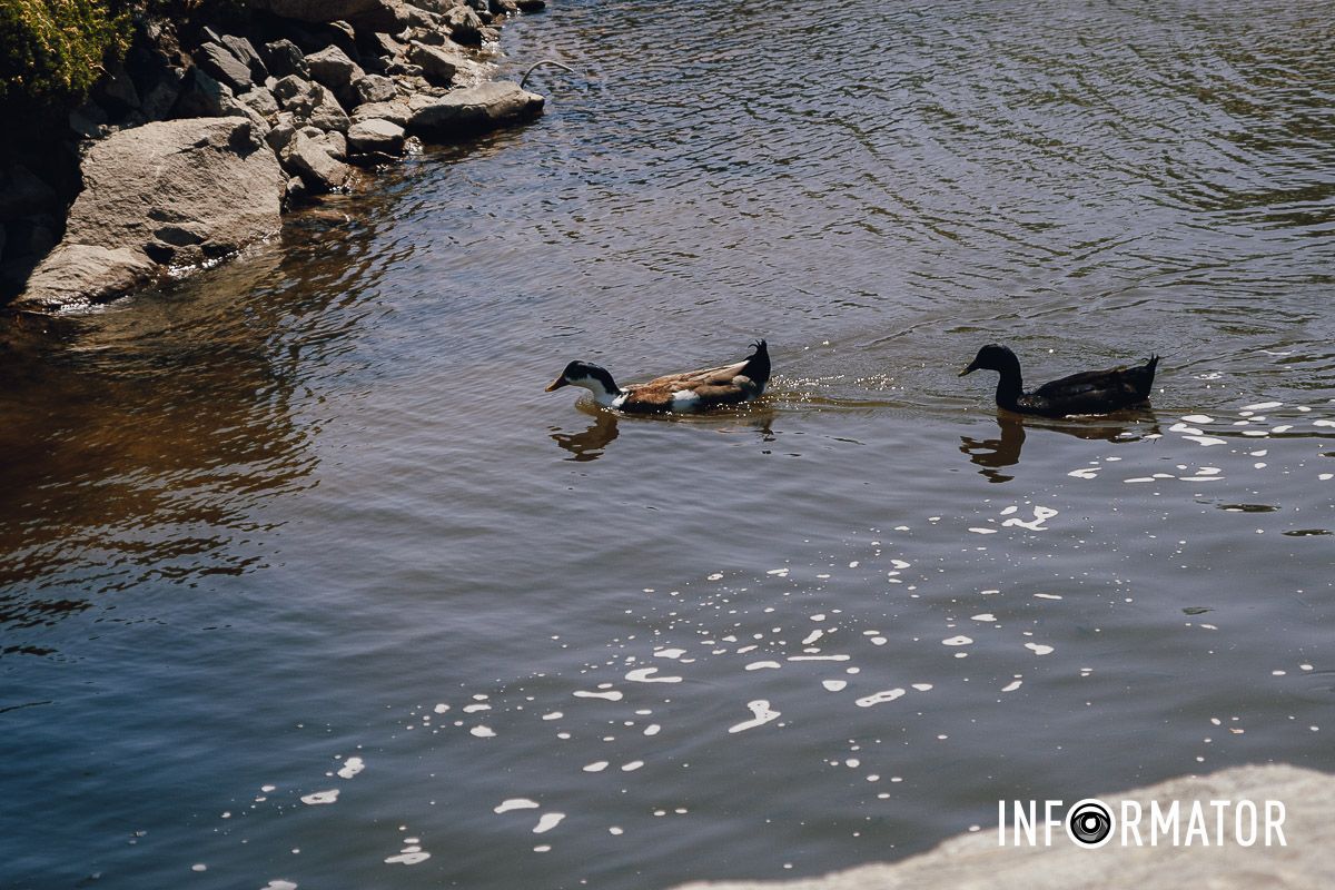 Место, где дышится иначе: как выглядит яхт-клуб «Сечь» в Днепре майского солнечного дня 25