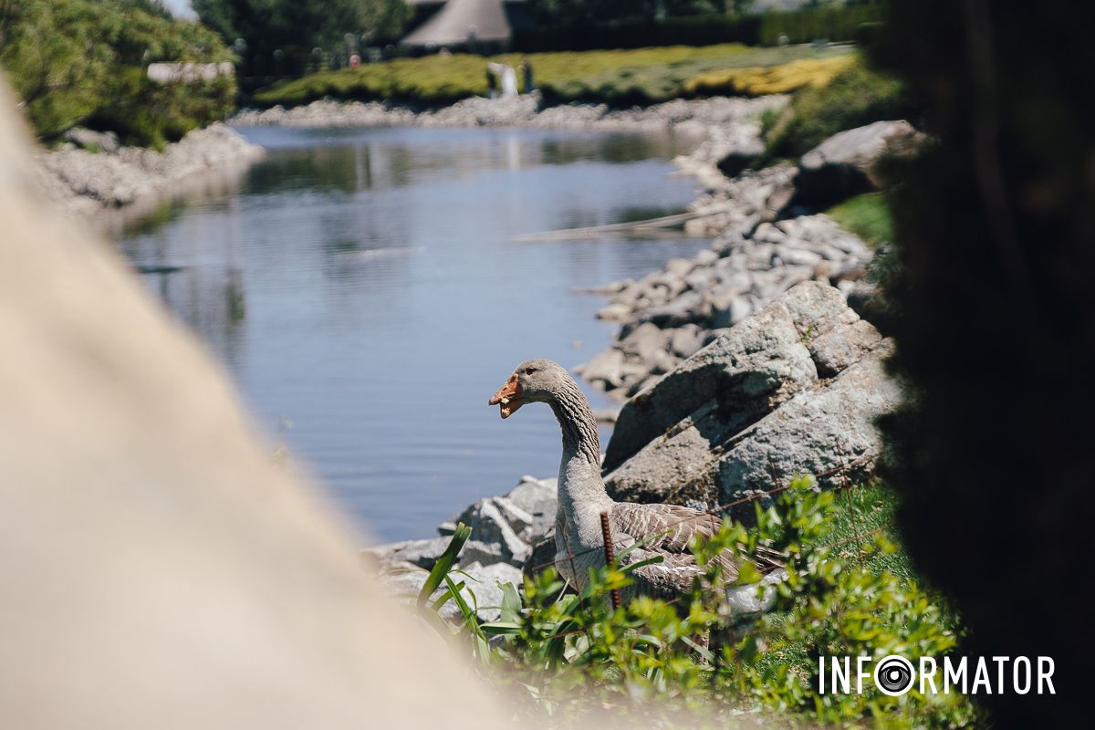 Место, где дышится иначе: как выглядит яхт-клуб «Сечь» в Днепре майского солнечного дня 26