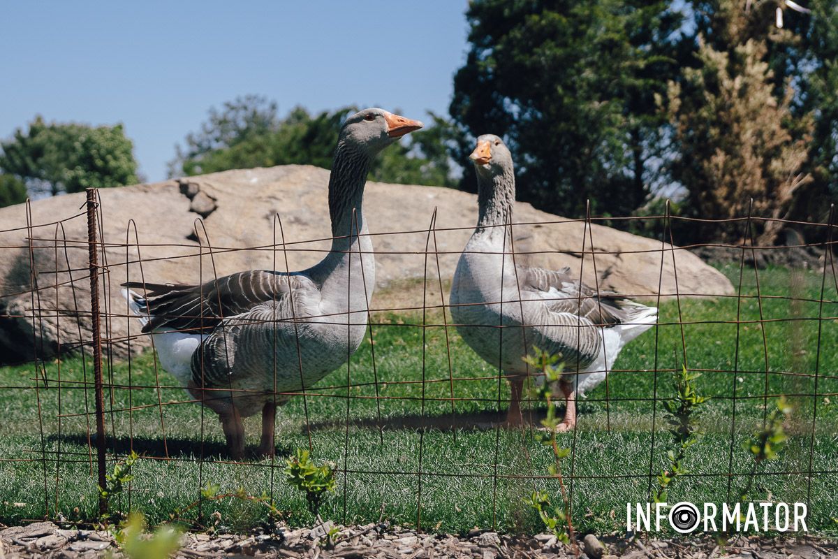 Место, где дышится иначе: как выглядит яхт-клуб «Сечь» в Днепре майского солнечного дня 30
