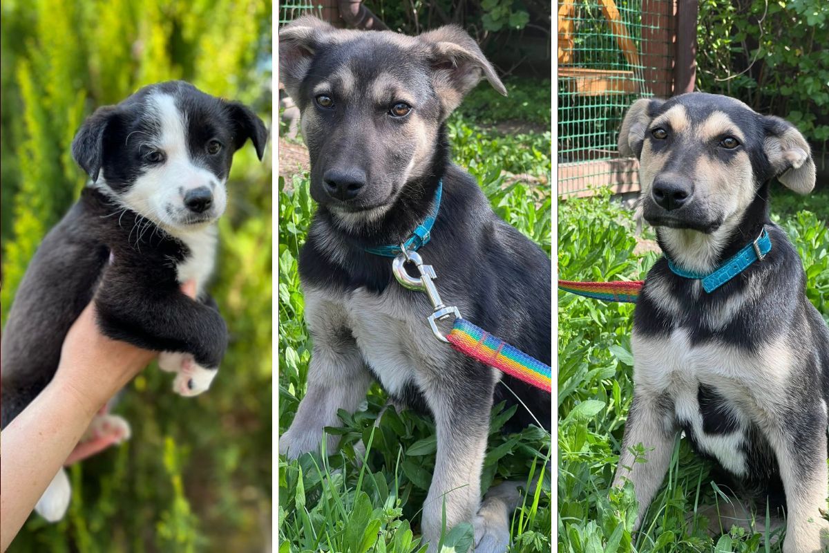 Только посмотрите в эти глазки