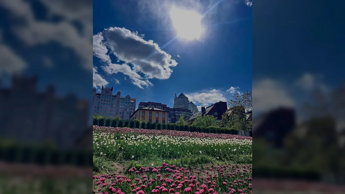 Якби у Дніпра був Instagram: топ красивих світлин міста