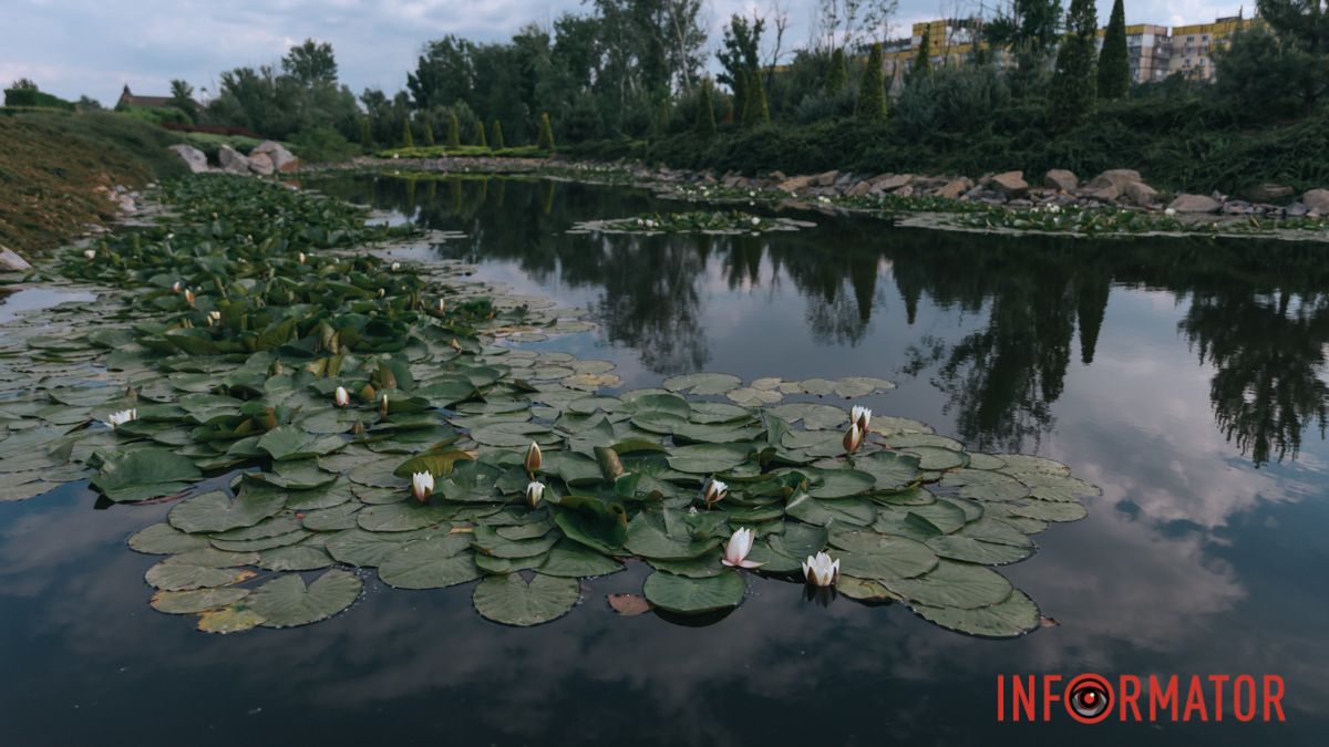 Погода на 7 травня: у Дніпрі буде хмарно, йтиме дощ