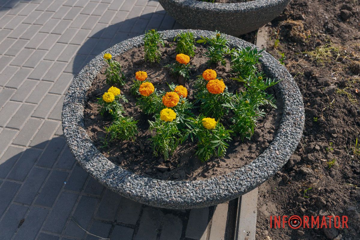 В Днепре на Левобережном-3 обновили зону отдыха