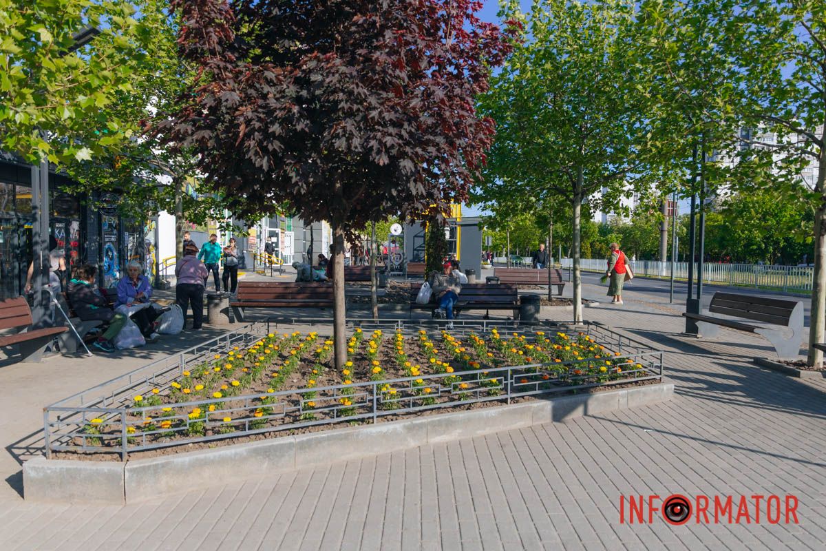 Красота рядом