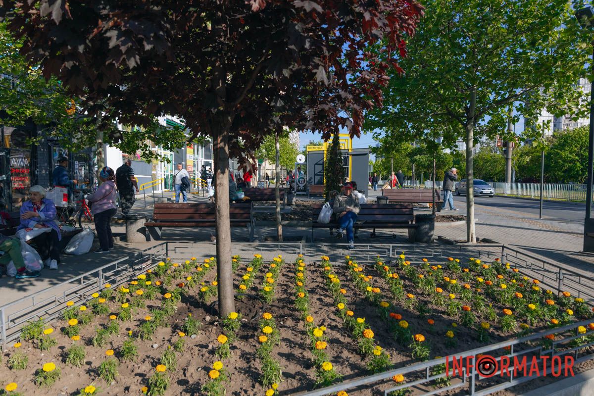 Любуются красотой цветов