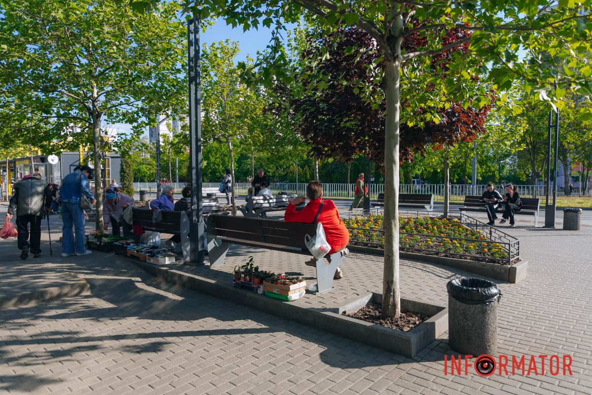 Отдых среди деревьев