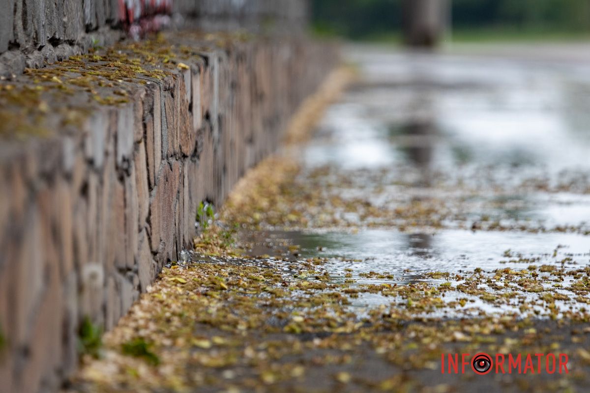 Вода оминає зливову каналізацію: у Дніпрі вулицю 3-ї Штурмової Бригади заливає стічними водами 3