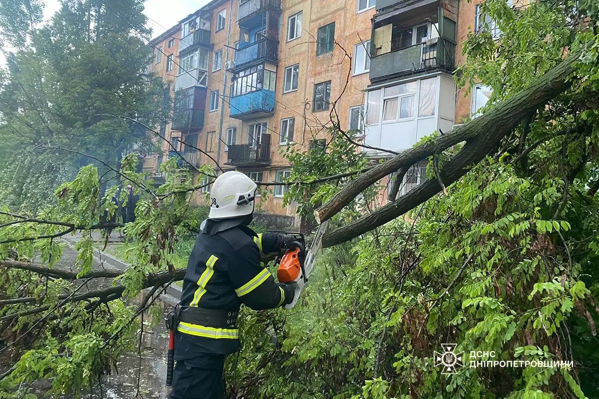 Валило дерева, зривало дахи та пропадало світло: у Павлограді 9 травня вирувала негода 2