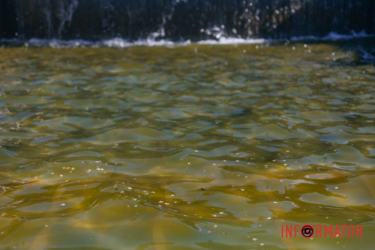 В парке Шевченко в Днепре запустили фонтан: как он выглядит 5