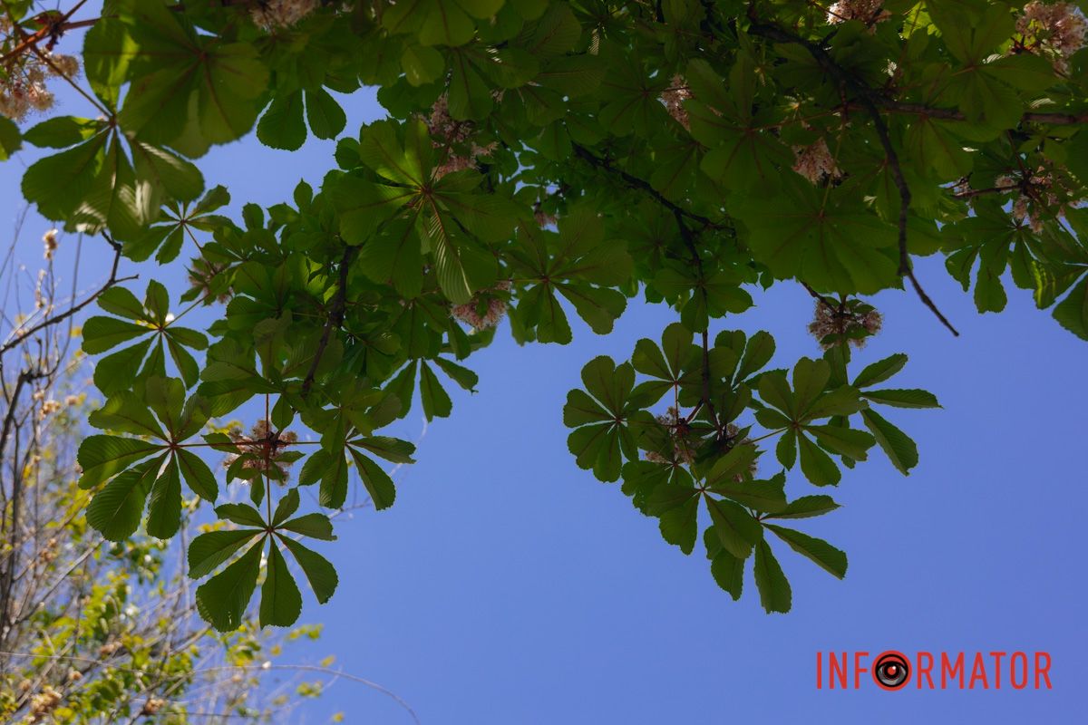 Облака - настоящее произведение искусства: как жители Днепра наслаждаются выходным после дождей 21