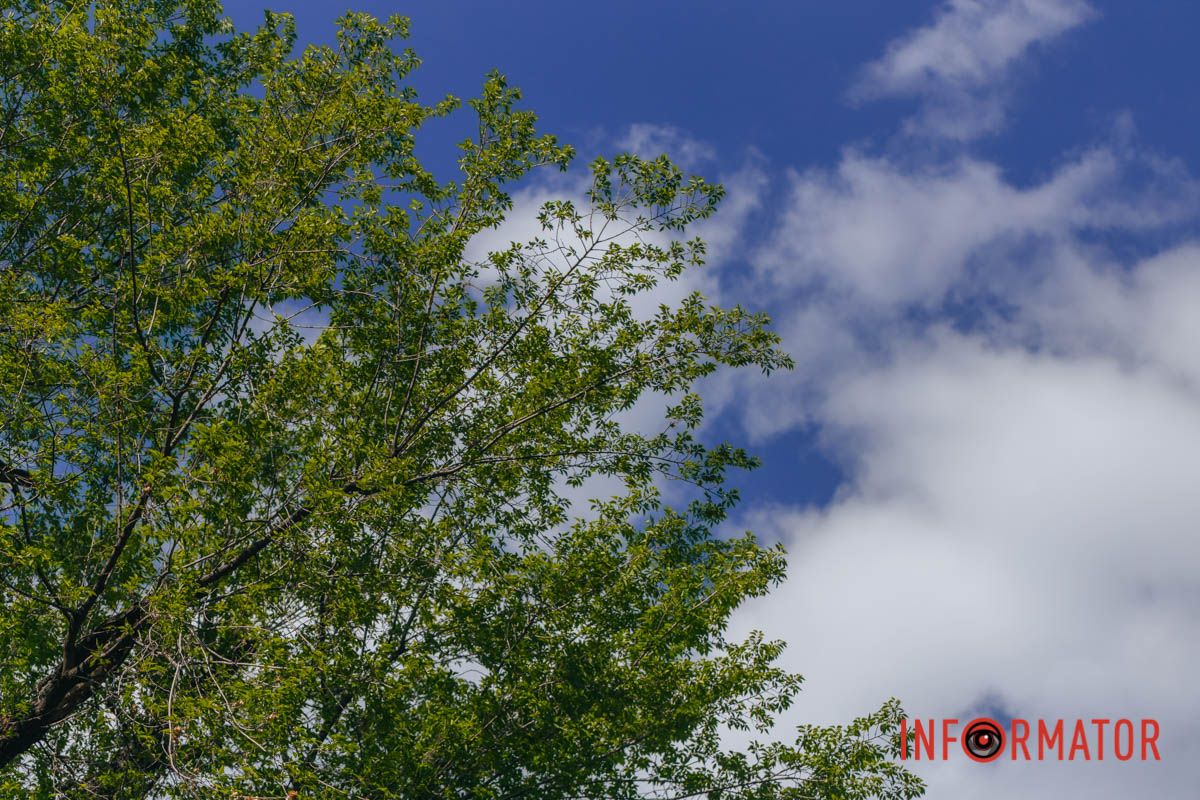 Облака - настоящее произведение искусства: как жители Днепра наслаждаются выходным после дождей 49