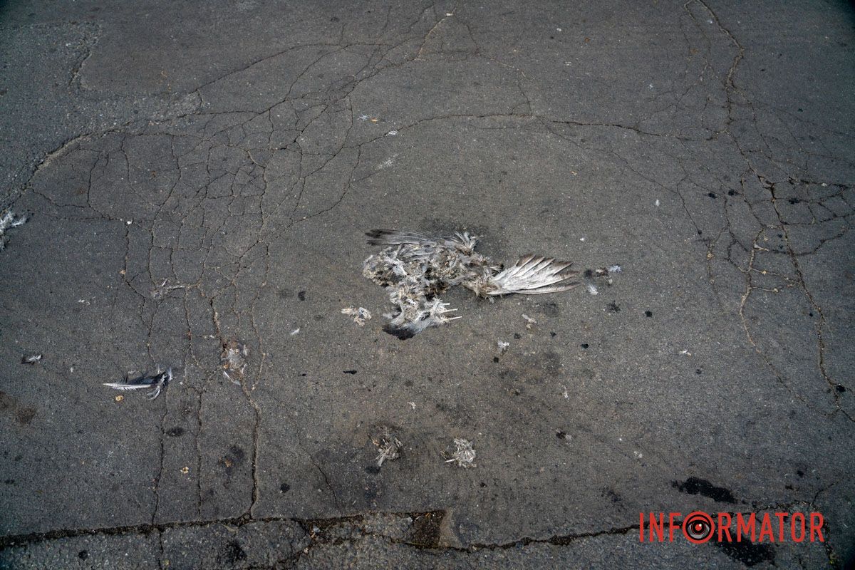 У Дніпрі на місяць можуть перекрити вулицю Мусліма Магомаєва 12