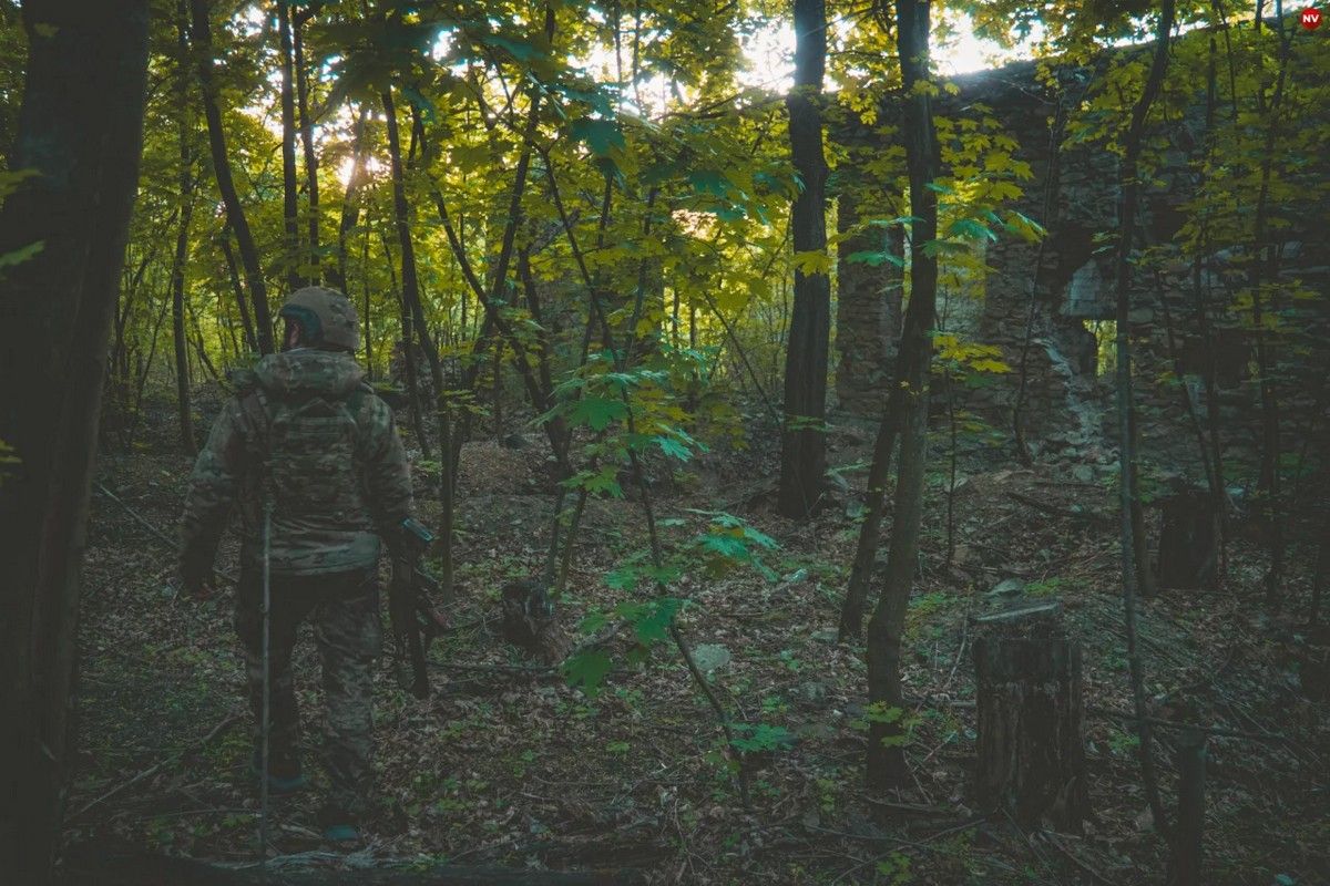 Боєць 25-ї бригади в лісі під Покровськом Боєць 25-ї бригади в лісі під Покровськом