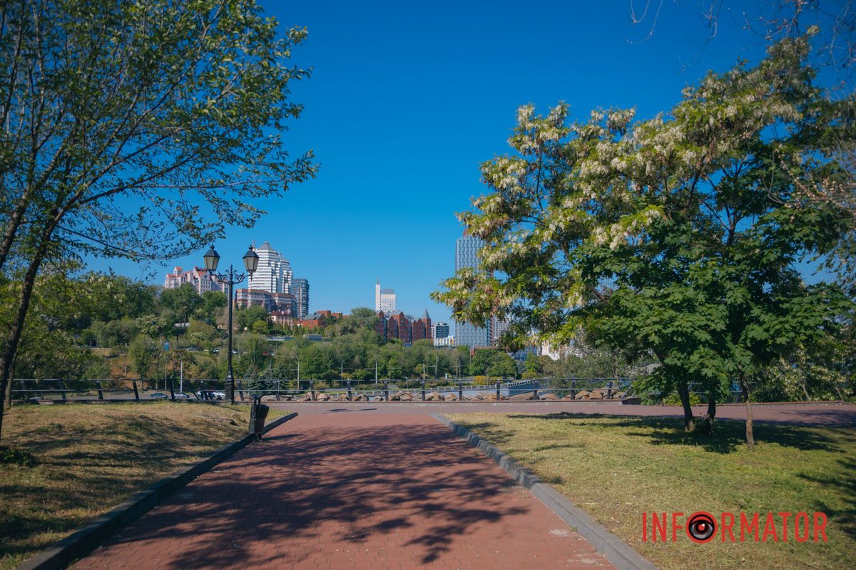 В Днепре зацвела акация: улицы города утопают в благоухании 2