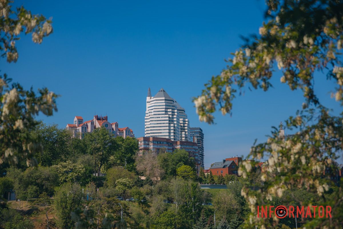 В Днепре зацвела акация: улицы города утопают в благоухании 6