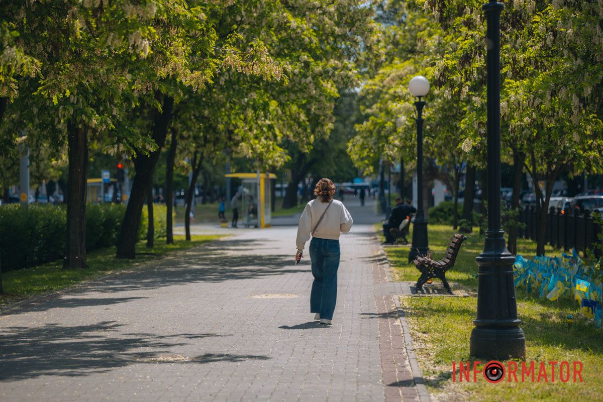 В Днепре зацвела акация: улицы города утопают в благоухании 16