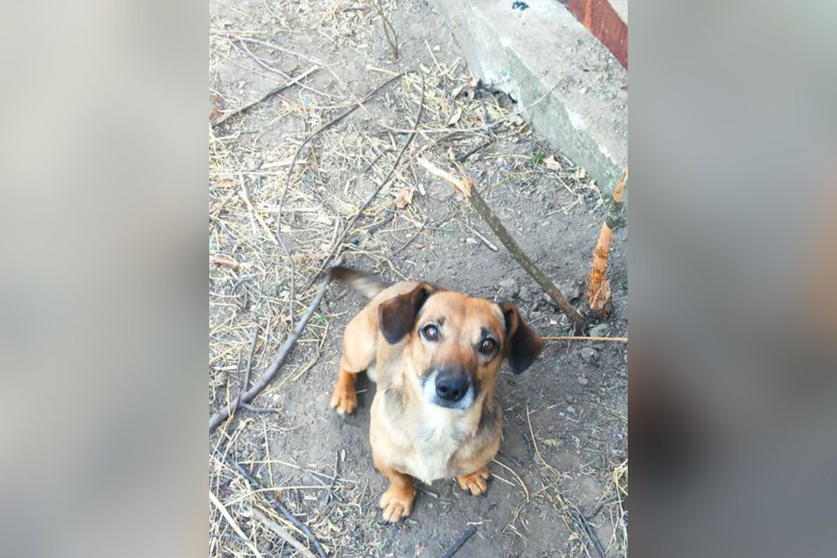 Ричард Ричард