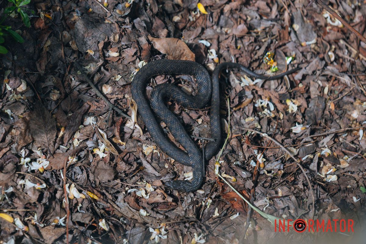 Бережіть себе