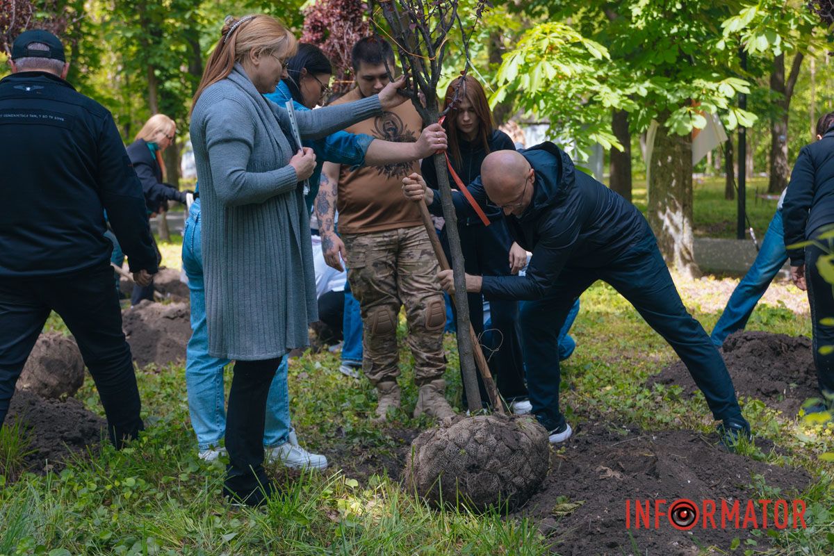 Нагадування, що війна торкнулася кожного: у Дніпрі EVA створила Алею пам’яті на честь загиблих співробітників 1