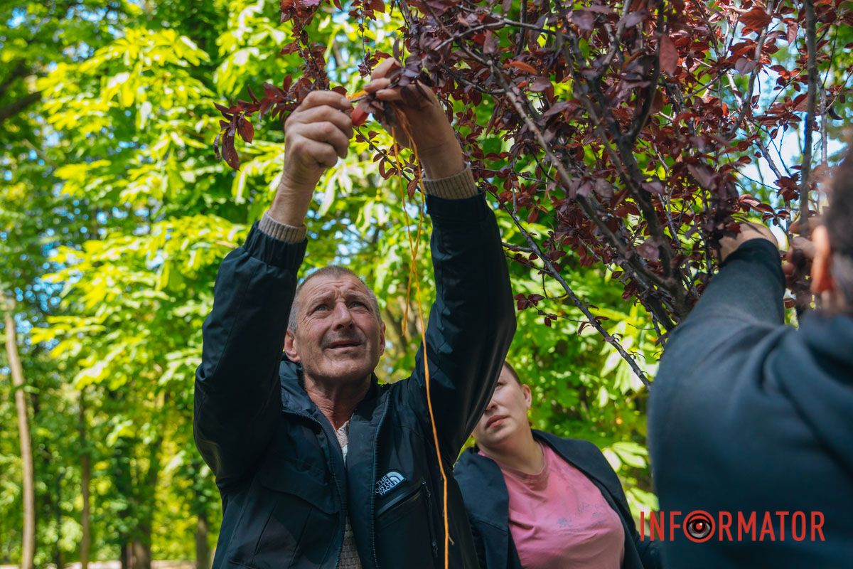 Нагадування, що війна торкнулася кожного: у Дніпрі EVA створила Алею пам’яті на честь загиблих співробітників 6