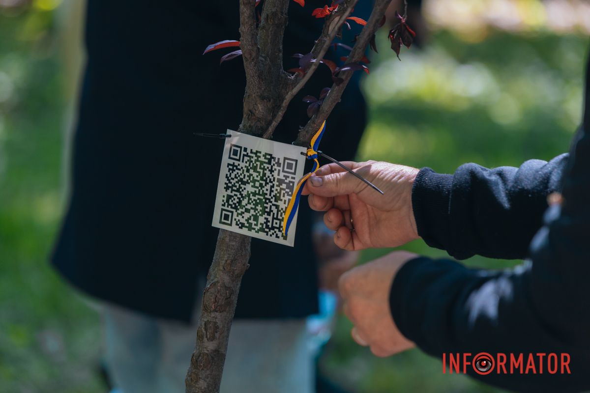 Нагадування, що війна торкнулася кожного: у Дніпрі EVA створила Алею пам’яті на честь загиблих співробітників 4