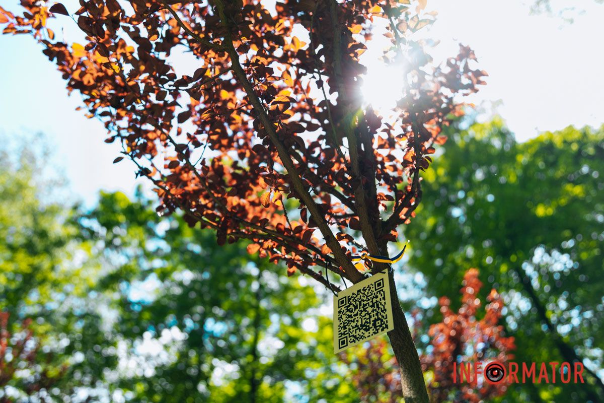 Нагадування, що війна торкнулася кожного: у Дніпрі EVA створила Алею пам’яті на честь загиблих співробітників 10